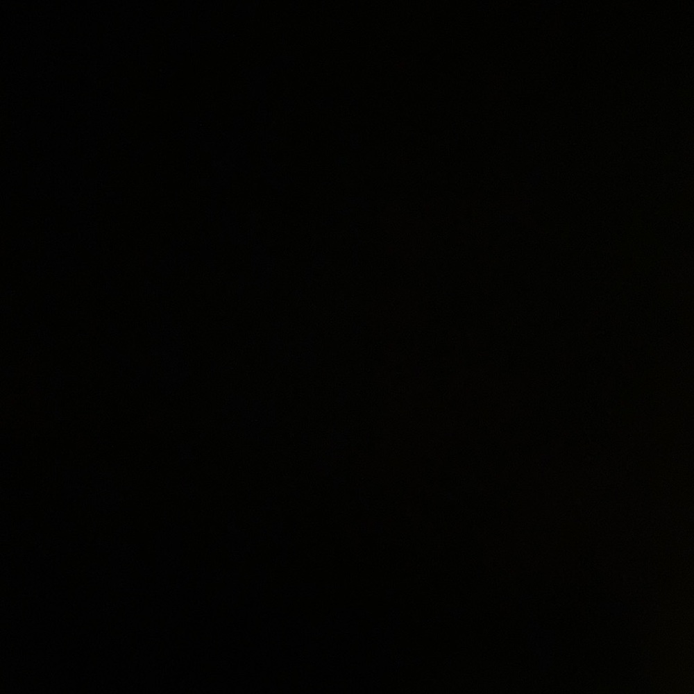 Meet your Posher, Josephine